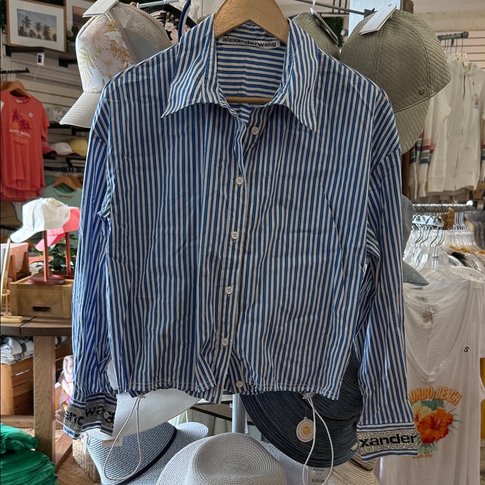 Alexander Wang Blue and White Striped Shirt